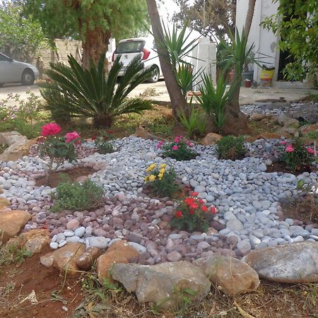 Nicholas Waves Beach Studios Λάρδος Εξωτερικό φωτογραφία